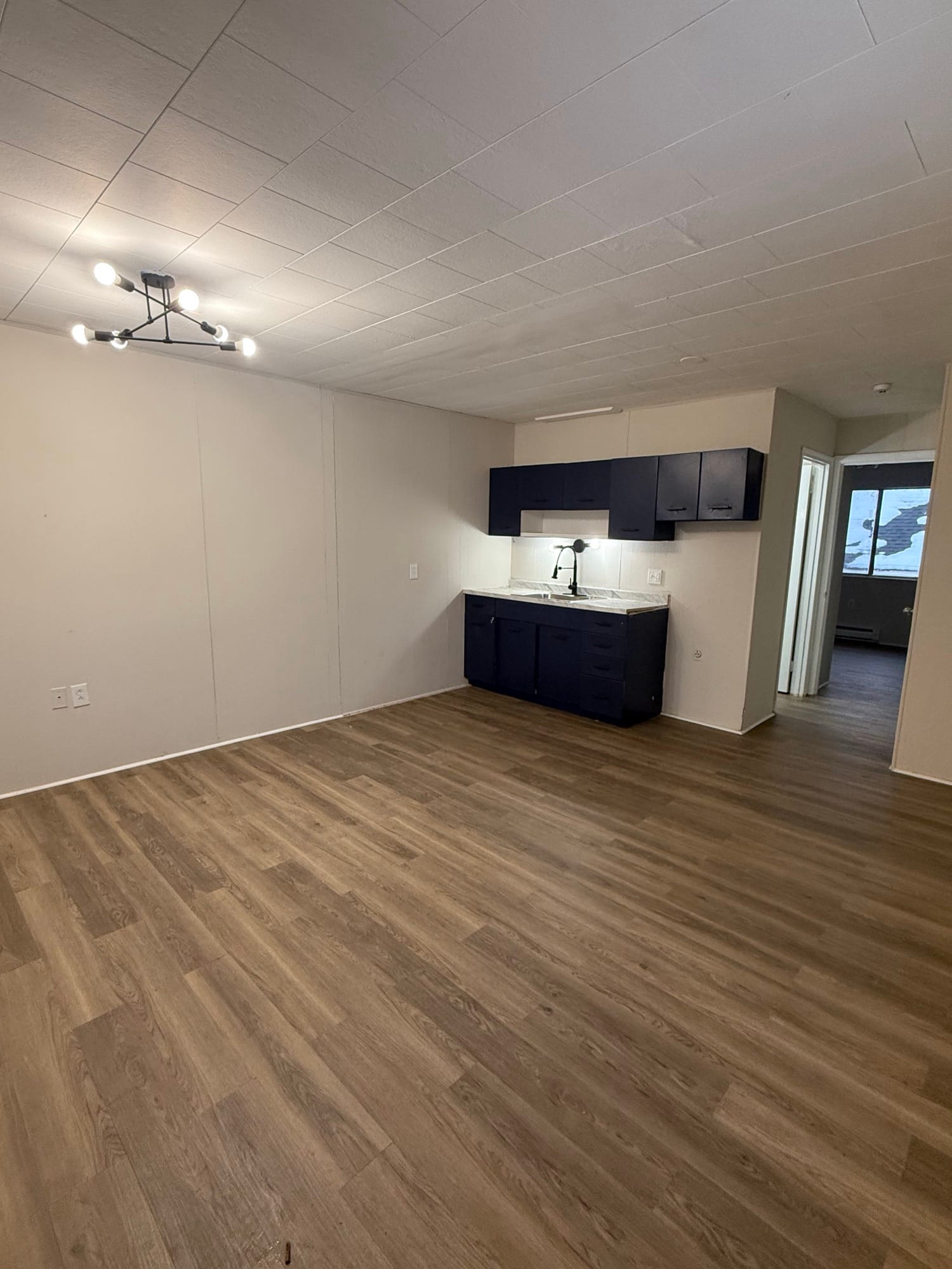 Apartment interior at 509 S. Wall St, Carbondale IL